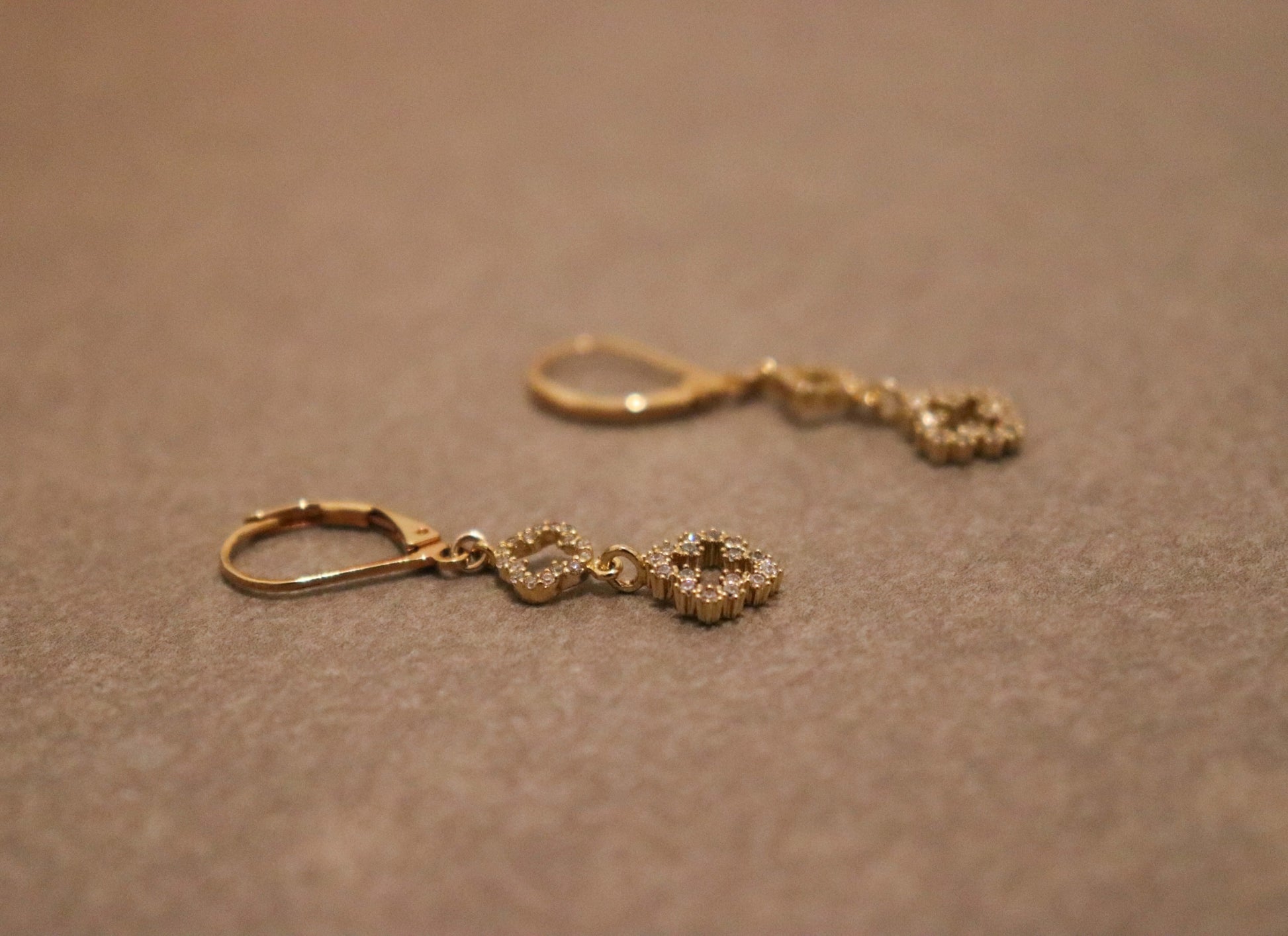 עגילי תלתן זהב סופיה Princess K Jewelry